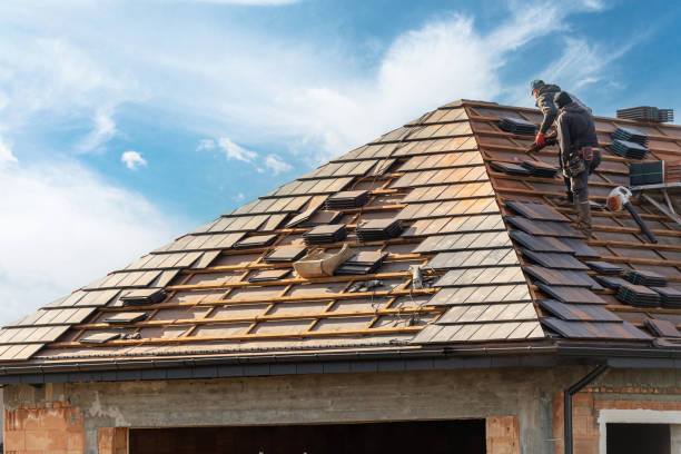 Best Roof Maintenance and Cleaning  in Hull, IA